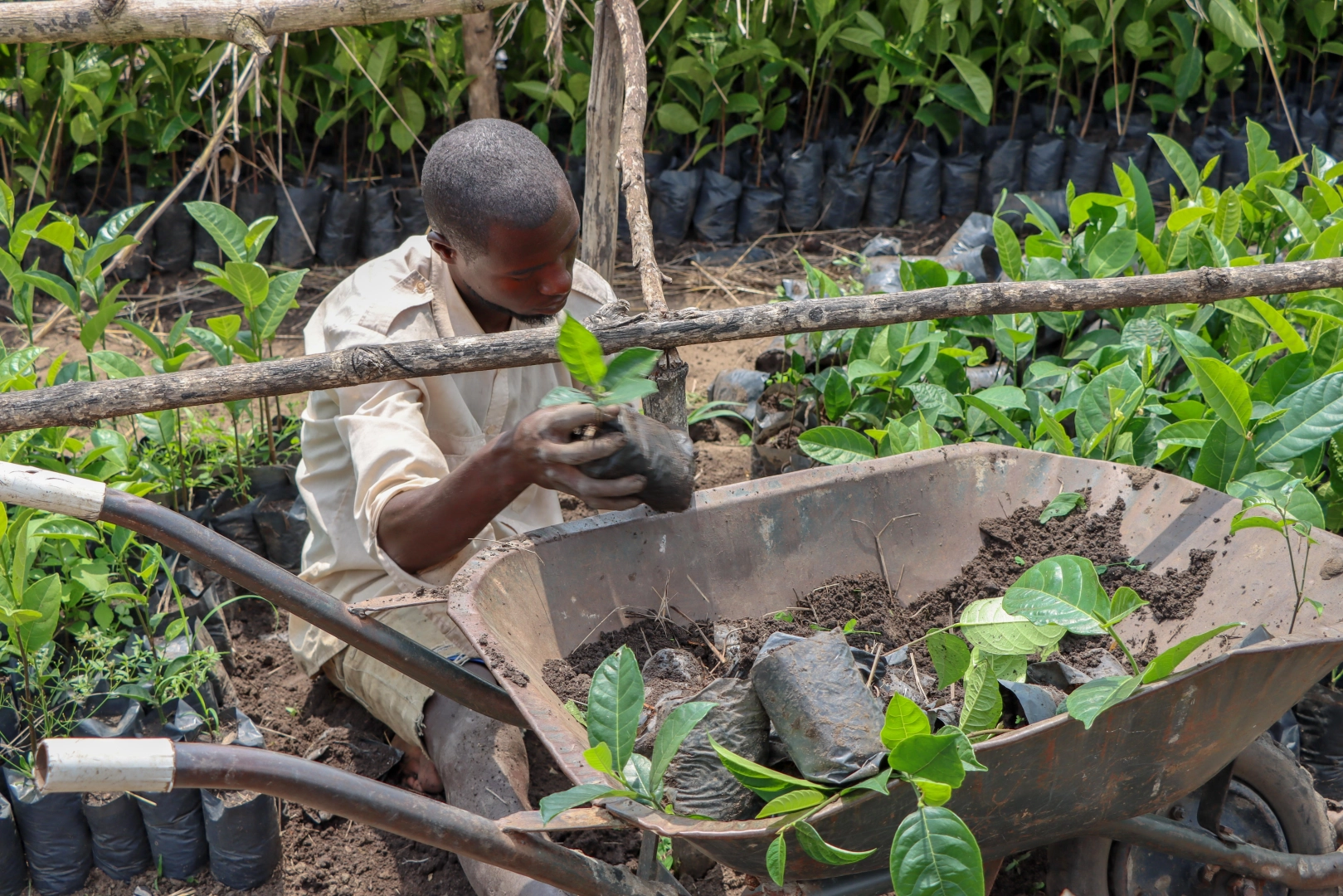 Sustainable Livelihood and Environment